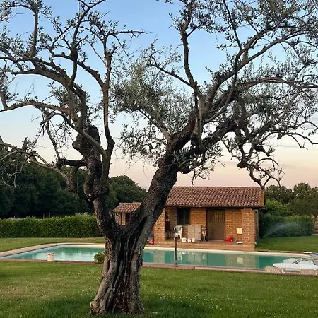 Da Nicole Oda ve Kahvaltı Civita Castellana